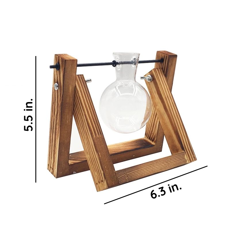 Soil-Free Glass Propagation Vase for Indoors