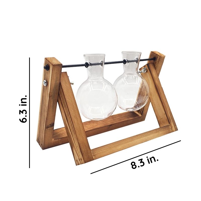 Soil-Free Glass Propagation Vase for Indoors