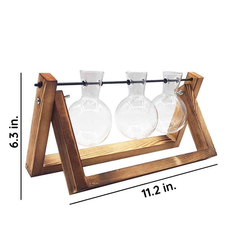 Soil-Free Glass Propagation Vase for Indoors