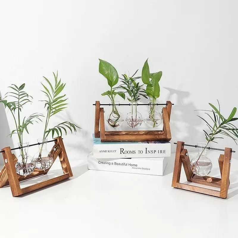 Soil-Free Glass Propagation Vase for Indoors
