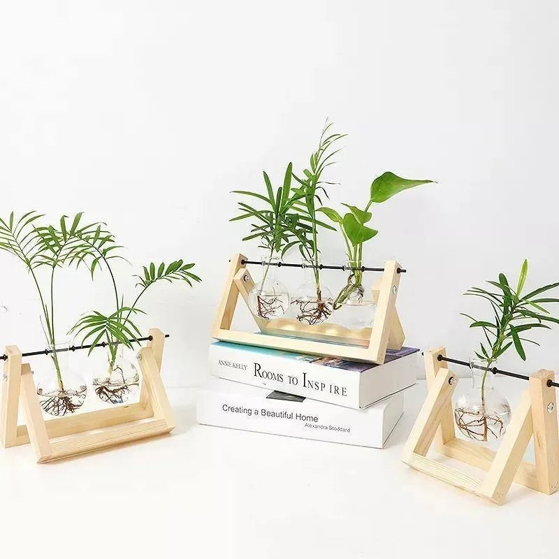 Soil-Free Glass Propagation Vase for Indoors